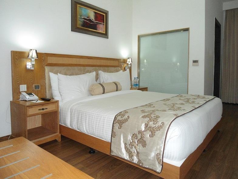 Comfort Inn Anneha Neu-Delhi Zimmer foto