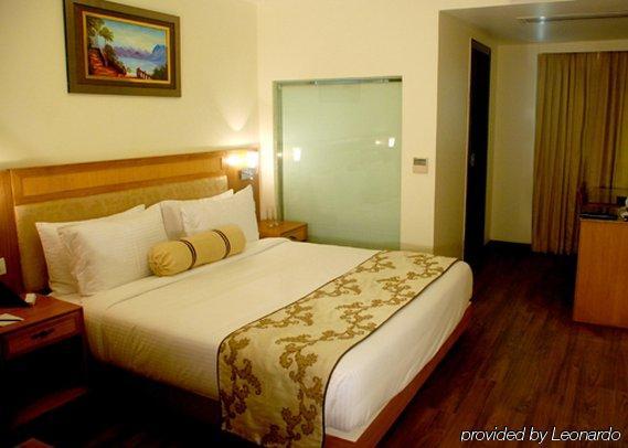 Comfort Inn Anneha Neu-Delhi Zimmer foto